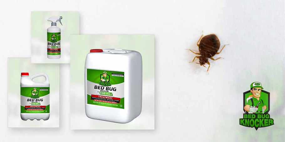 Perché scegliere il repellente per cimici dei letti Bed Bug Knocker?